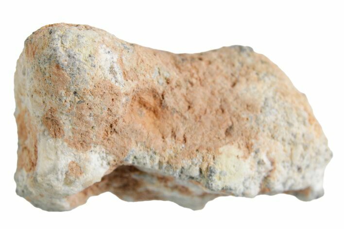 Lunar Meteorite ( g) - Bechar #360441
